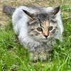 maxine_barney